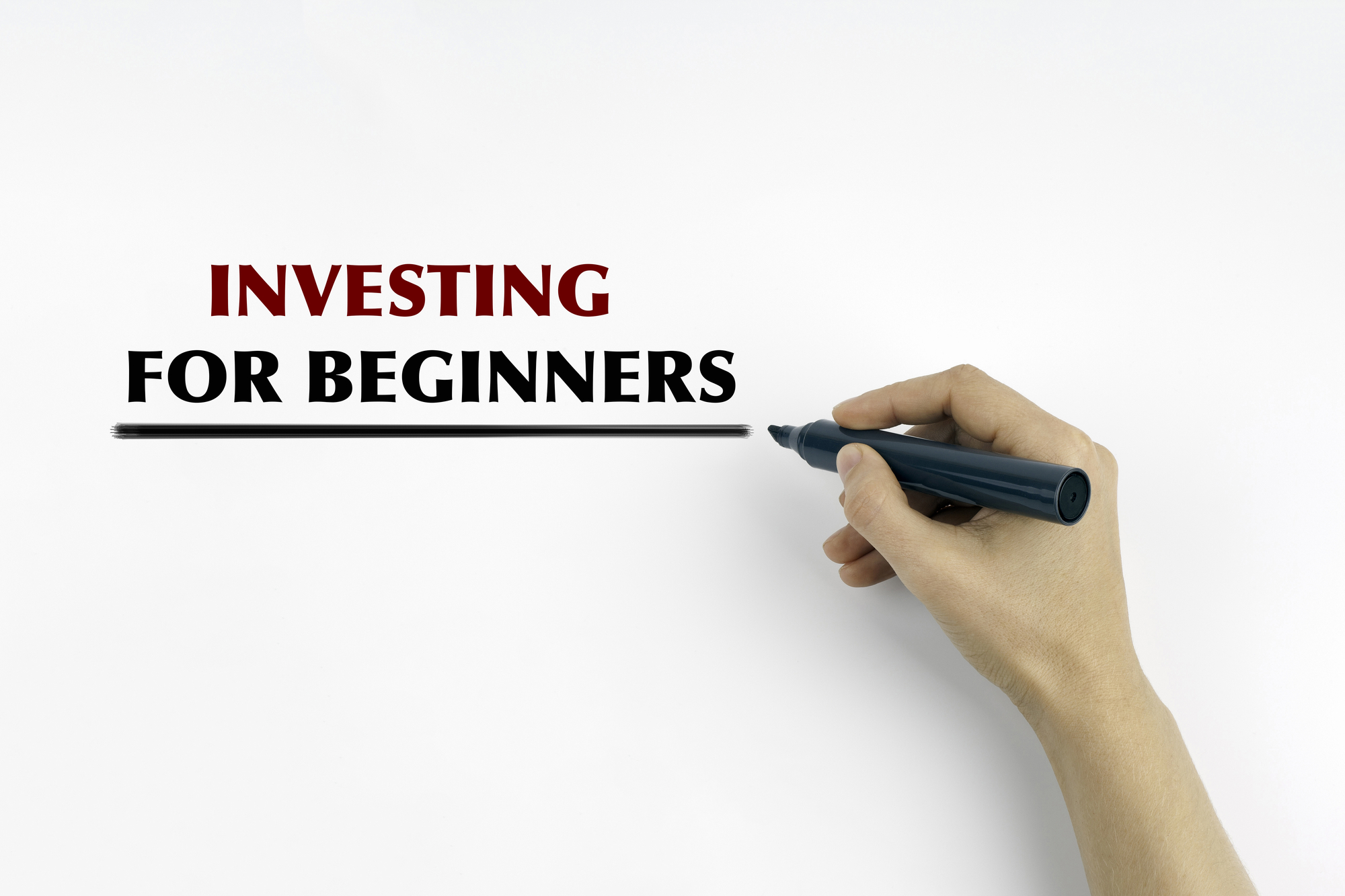 Beginners Guide
