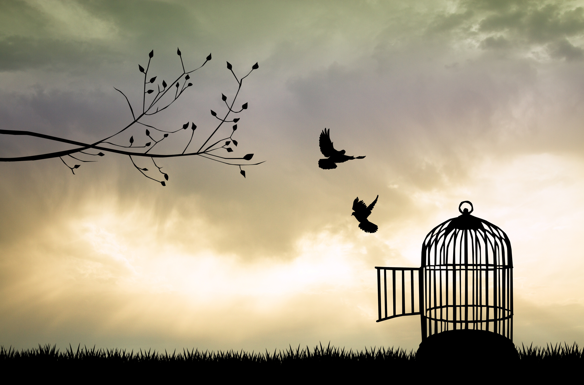 Break Free