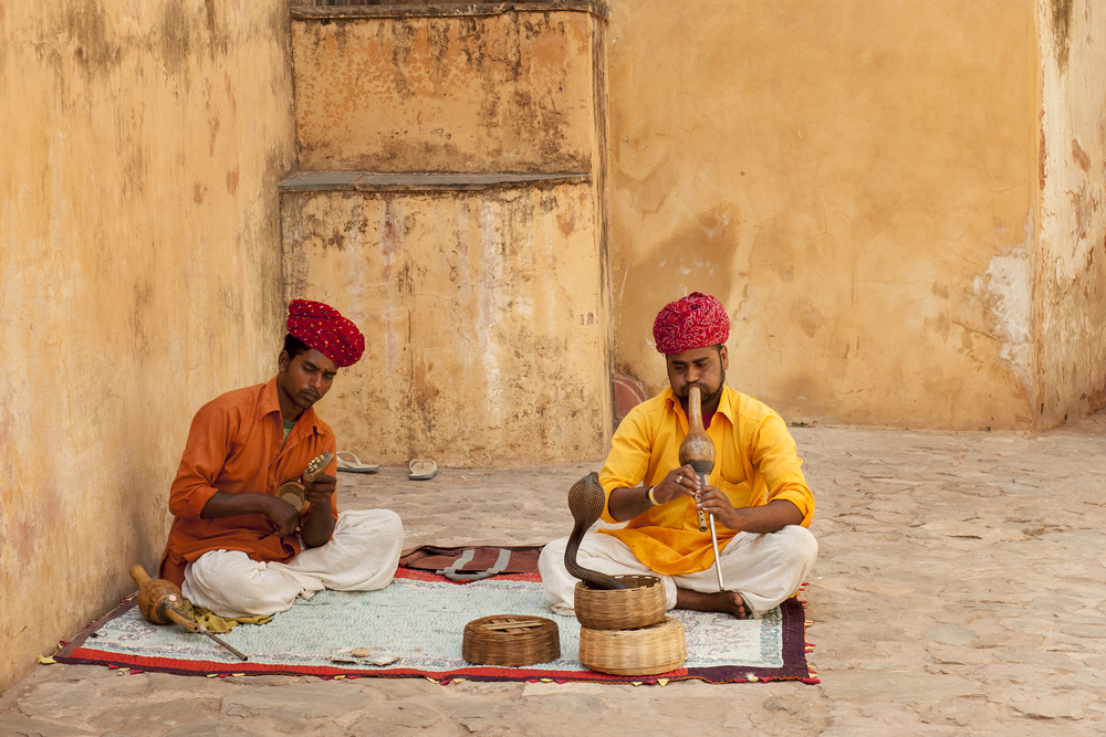 Snake Charmer